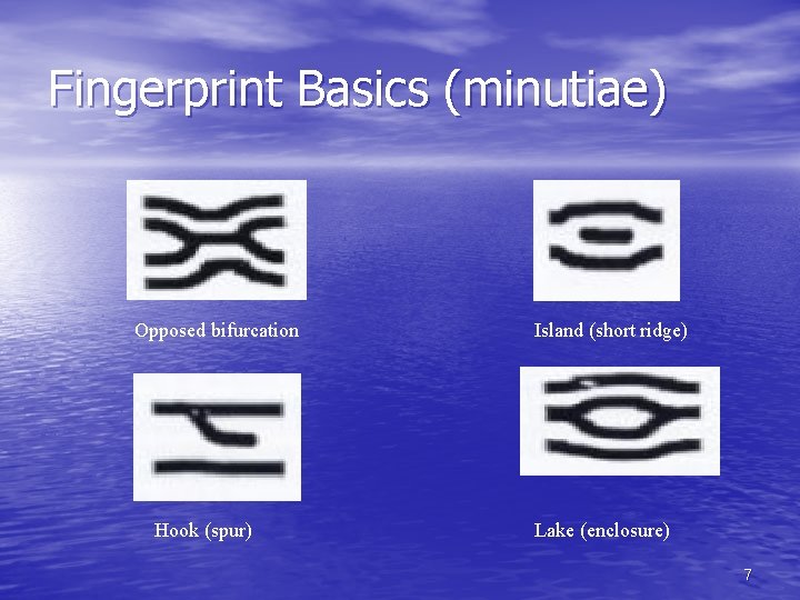 Fingerprint Basics (minutiae) Opposed bifurcation Hook (spur) Island (short ridge) Lake (enclosure) 7 