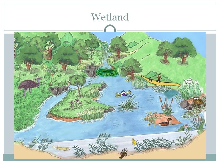 Wetland 