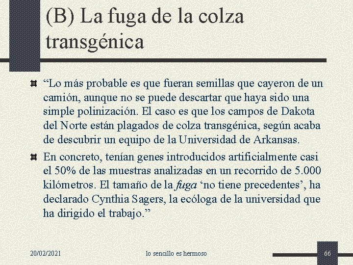 (B) La fuga de la colza transgénica “Lo más probable es que fueran semillas