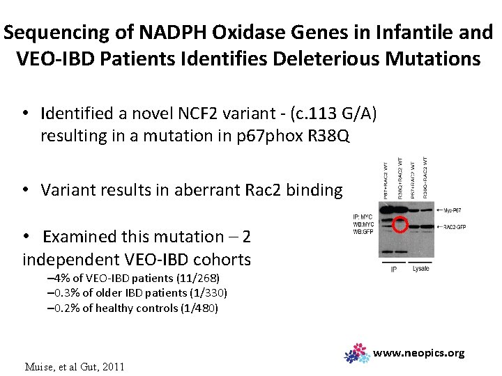 Sequencing of NADPH Oxidase Genes in Infantile and VEO-IBD Patients Identifies Deleterious Mutations •