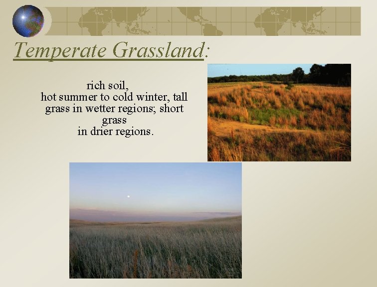 Temperate Grassland: rich soil, hot summer to cold winter, tall grass in wetter regions;