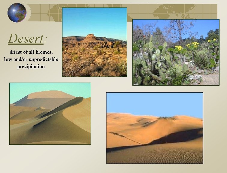 Desert: driest of all biomes, low and/or unpredictable precipitation 