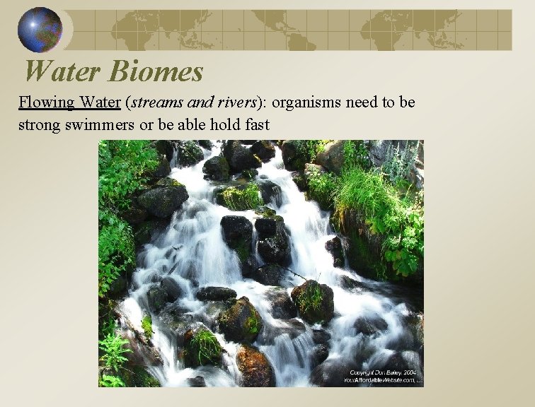 Water Biomes Flowing Water (streams and rivers): organisms need to be strong swimmers or