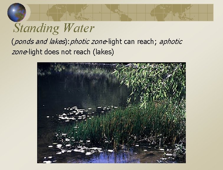 Standing Water (ponds and lakes): photic zone-light can reach; aphotic zone-light does not reach