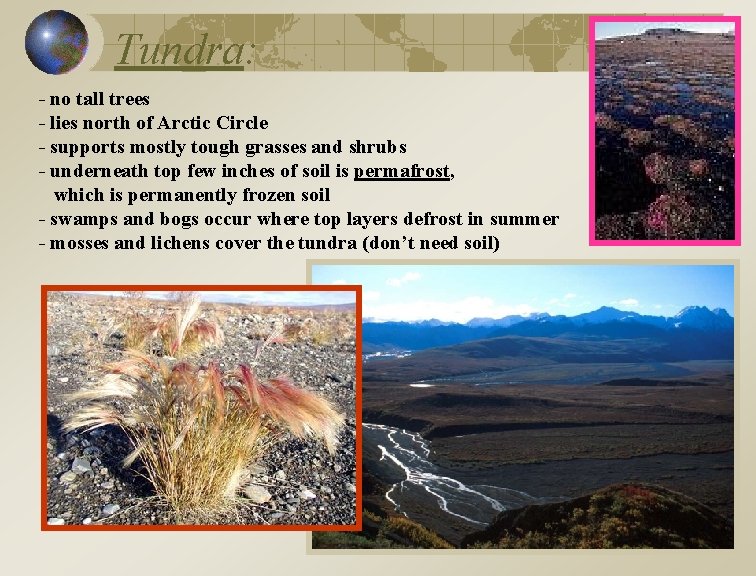 Tundra: - no tall trees - lies north of Arctic Circle - supports mostly