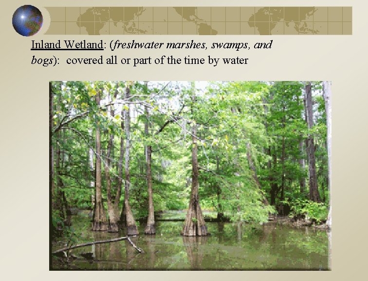 Inland Wetland: (freshwater marshes, swamps, and bogs): covered all or part of the time
