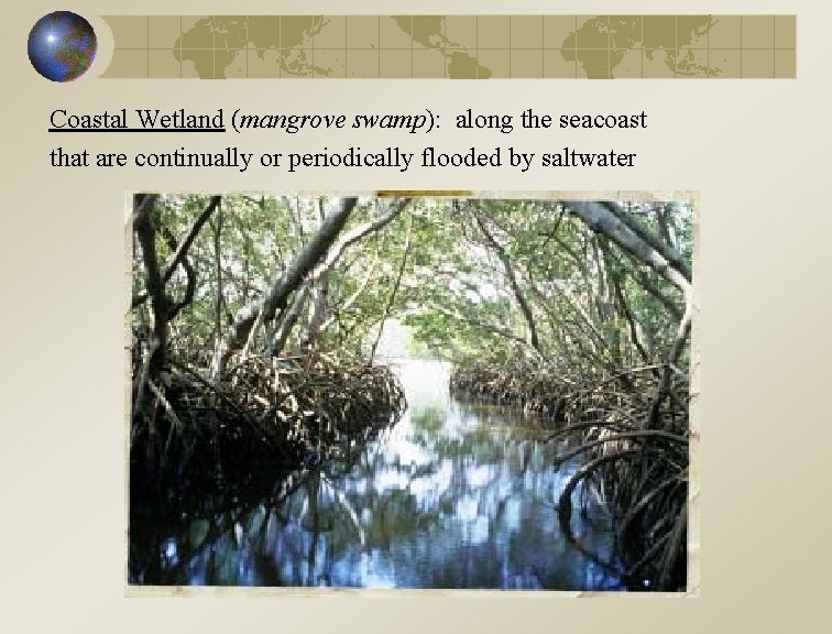 Coastal Wetland (mangrove swamp): along the seacoast that are continually or periodically flooded by