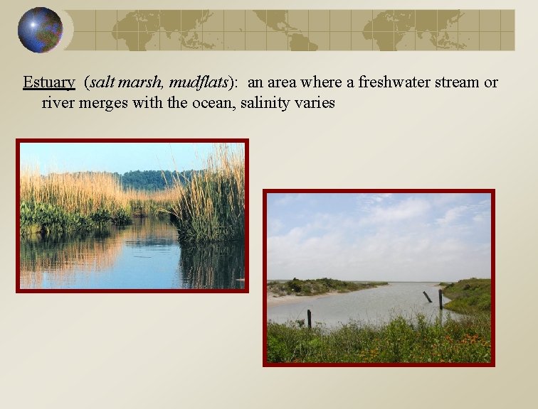 Estuary (salt marsh, mudflats): an area where a freshwater stream or river merges with