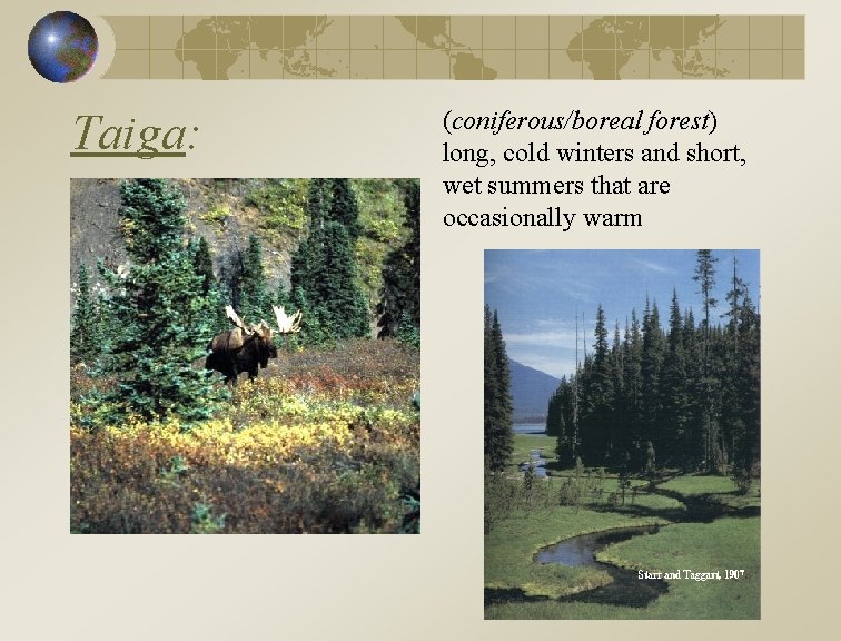 Taiga: (coniferous/boreal forest) long, cold winters and short, wet summers that are occasionally warm