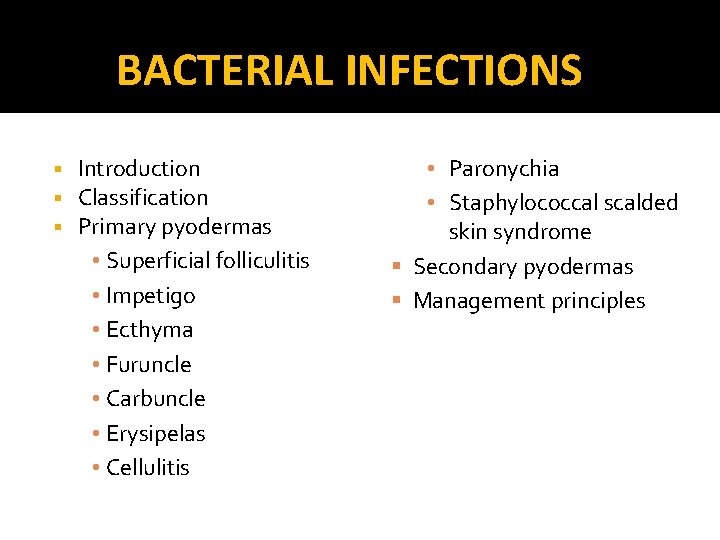 BACTERIAL INFECTIONS § § § Introduction Classification Primary pyodermas • Superficial folliculitis • Impetigo