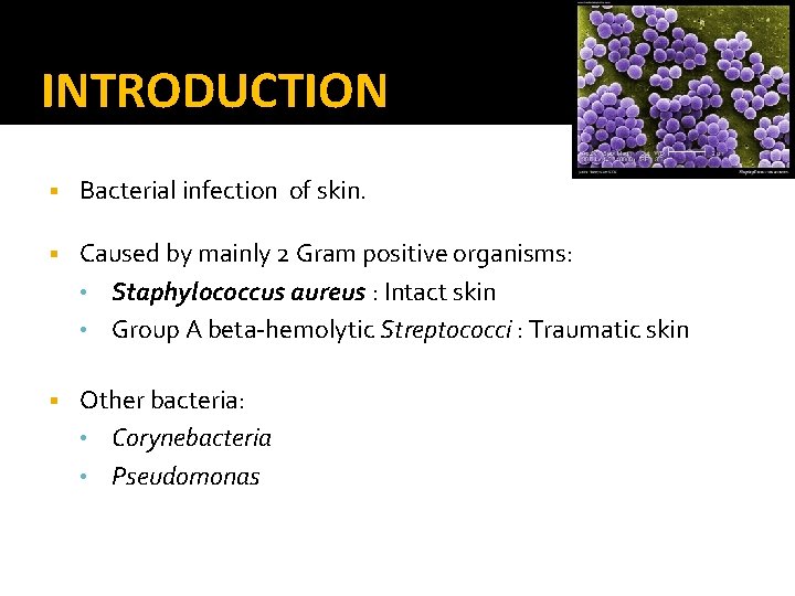 INTRODUCTION § Bacterial infection of skin. § Caused by mainly 2 Gram positive organisms: