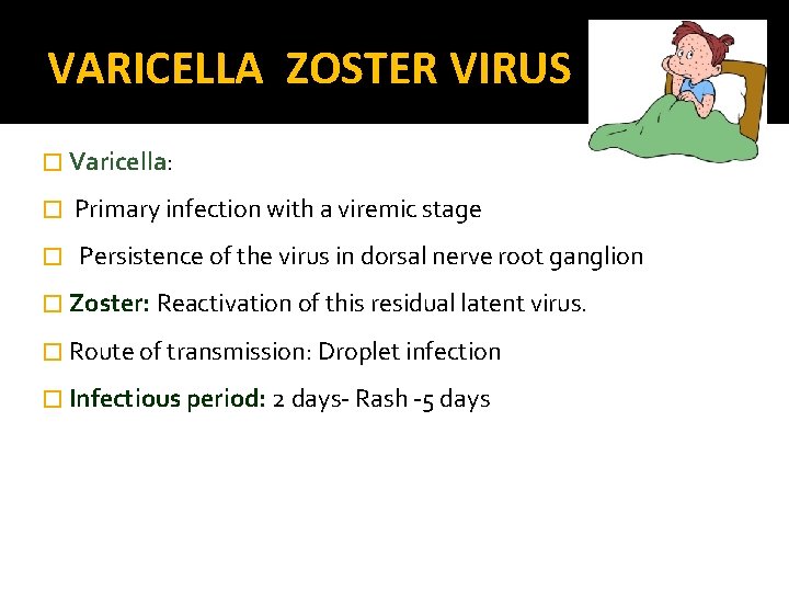 VARICELLA ZOSTER VIRUS � Varicella: � Primary infection with a viremic stage � Persistence