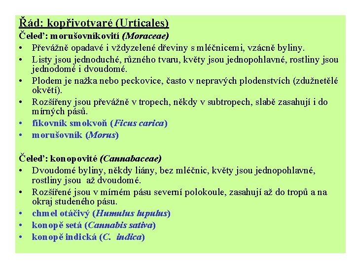 Řád: kopřivotvaré (Urticales) Čeleď: morušovníkovití (Moraceae) • Převážně opadavé i vždyzelené dřeviny s mléčnicemi,