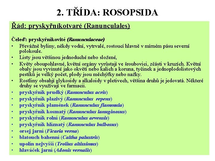 2. TŘÍDA: ROSOPSIDA Řád: pryskyřníkotvaré (Ranunculales) Čeleď: pryskyřníkovité (Ranunculaceae) • Převážně byliny, někdy vodní,
