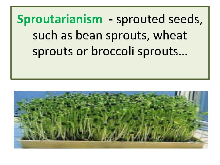 Sproutarianism - sprouted seeds, such as bean sprouts, wheat sprouts or broccoli sprouts… 