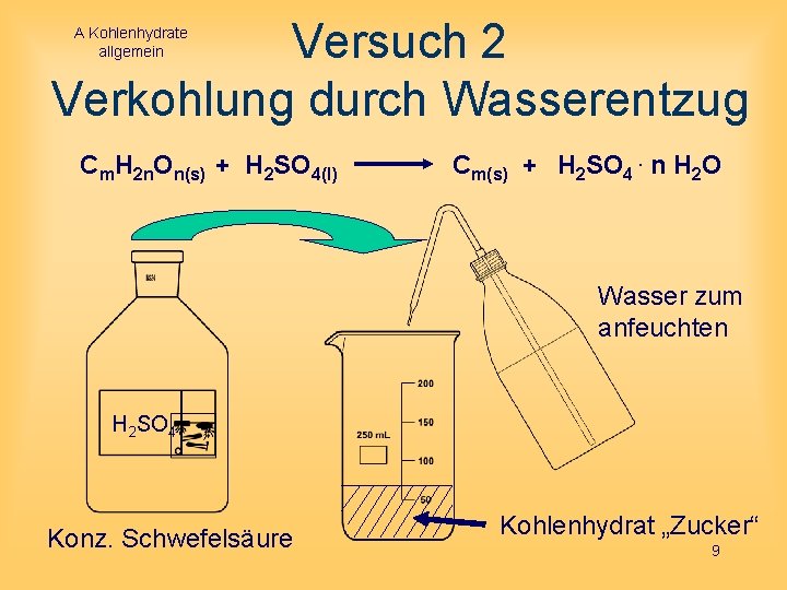 Versuch 2 Verkohlung durch Wasserentzug A Kohlenhydrate allgemein Cm. H 2 n. On(s) +