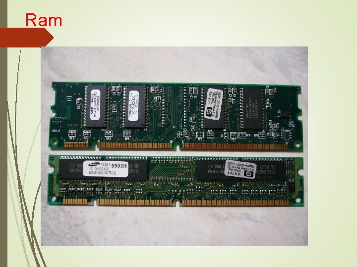 Ram 