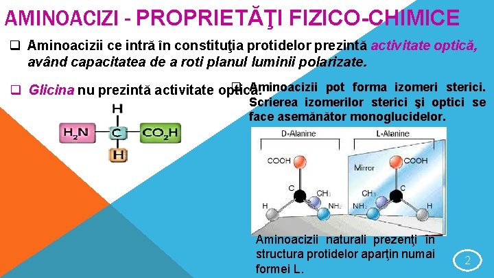 AMINOACIZI - PROPRIETĂŢI FIZICO-CHIMICE q Aminoacizii ce intră în constituţia protidelor prezintă activitate optică,