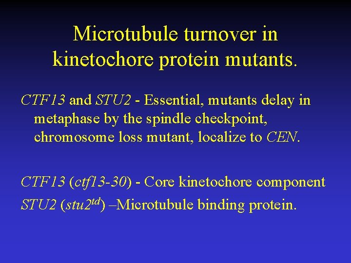 Microtubule turnover in kinetochore protein mutants. CTF 13 and STU 2 - Essential, mutants