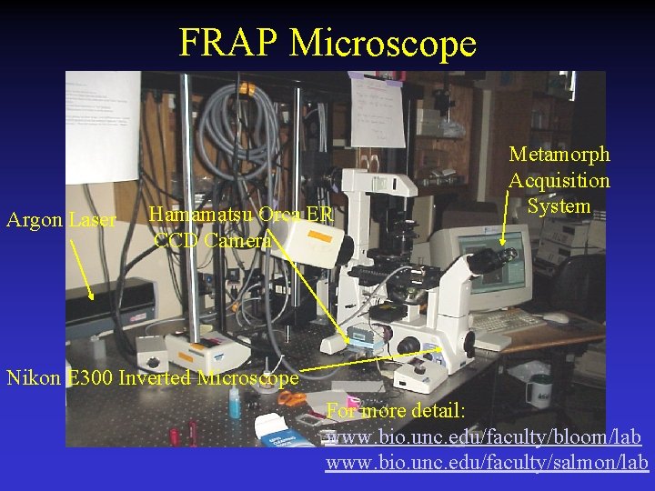 FRAP Microscope Argon Laser Hamamatsu Orca ER CCD Camera Metamorph Acquisition System Nikon E