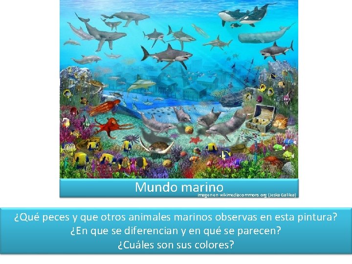 Mundo marino Imagen en wikimediacommons. org (Jeska Galilea) ¿Qué peces y que otros animales