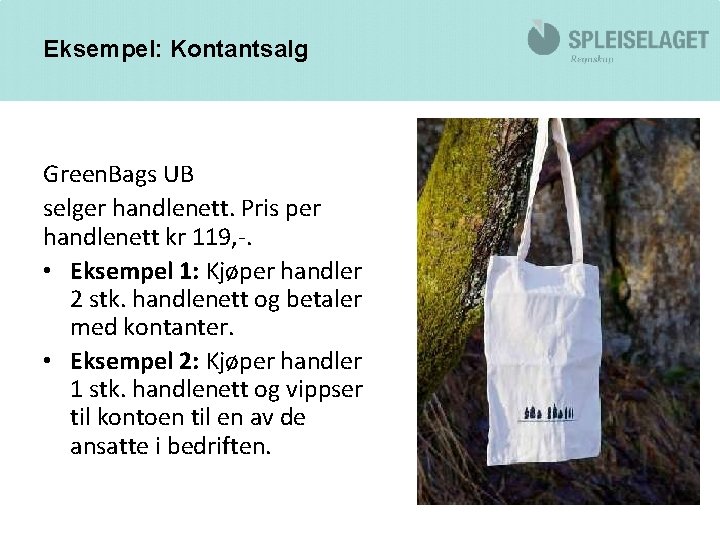 Eksempel: Kontantsalg Green. Bags UB selger handlenett. Pris per handlenett kr 119, -. •