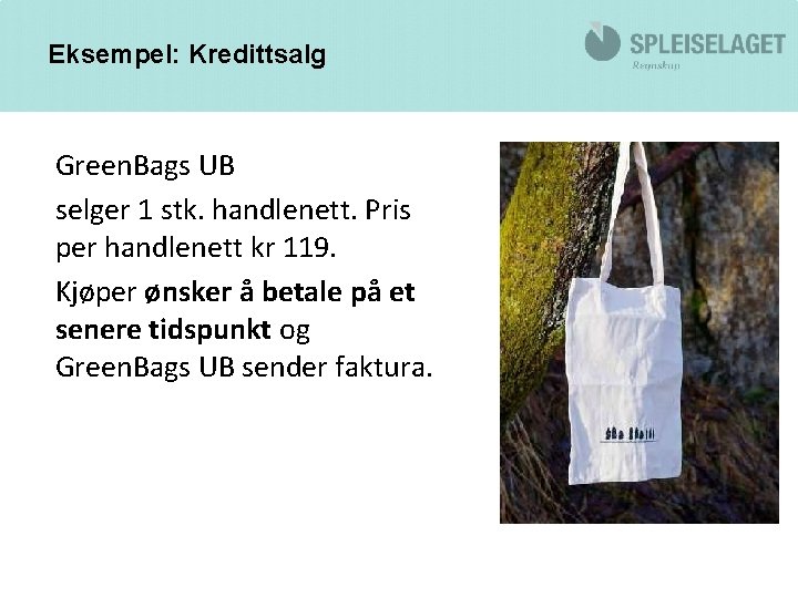 Eksempel: Kredittsalg Green. Bags UB selger 1 stk. handlenett. Pris per handlenett kr 119.