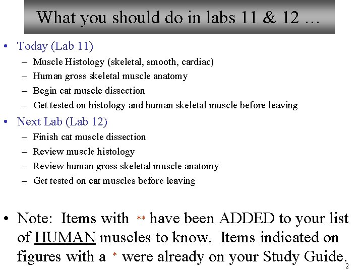 What you should do in labs 11 & 12 … • Today (Lab 11) What you should do in labs 11 & 12 … • Today (Lab 11)