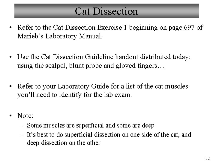 Cat Dissection • Refer to the Cat Dissection Exercise 1 beginning on page 697 Cat Dissection • Refer to the Cat Dissection Exercise 1 beginning on page 697