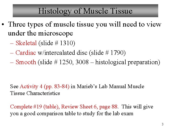 Histology of Muscle Tissue • Three types of muscle tissue you will need to