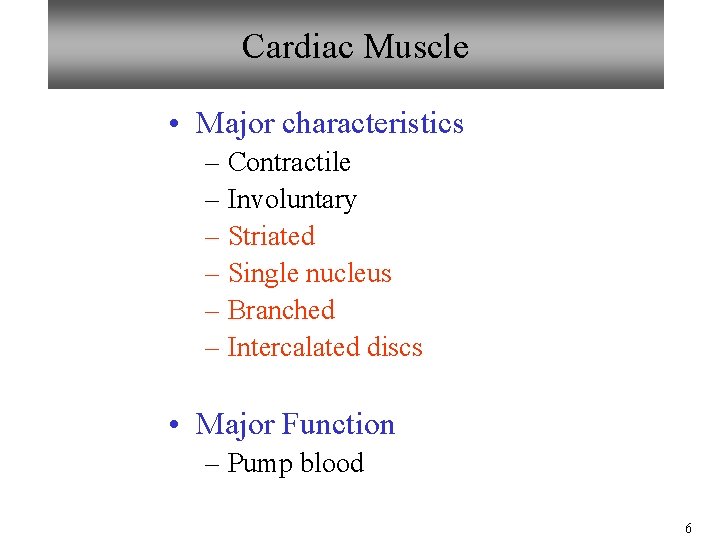 Cardiac Muscle • Major characteristics – Contractile – Involuntary – Striated – Single nucleus Cardiac Muscle • Major characteristics – Contractile – Involuntary – Striated – Single nucleus