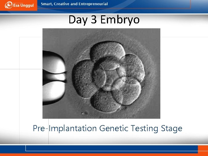 Day 3 Embryo Pre-Implantation Genetic Testing Stage 