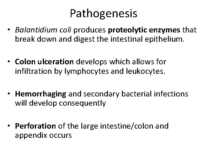 Pathogenesis • Balantidium coli produces proteolytic enzymes that break down and digest the intestinal