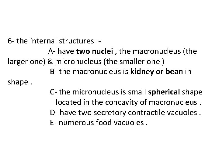 6 - the internal structures : A- have two nuclei , the macronucleus (the