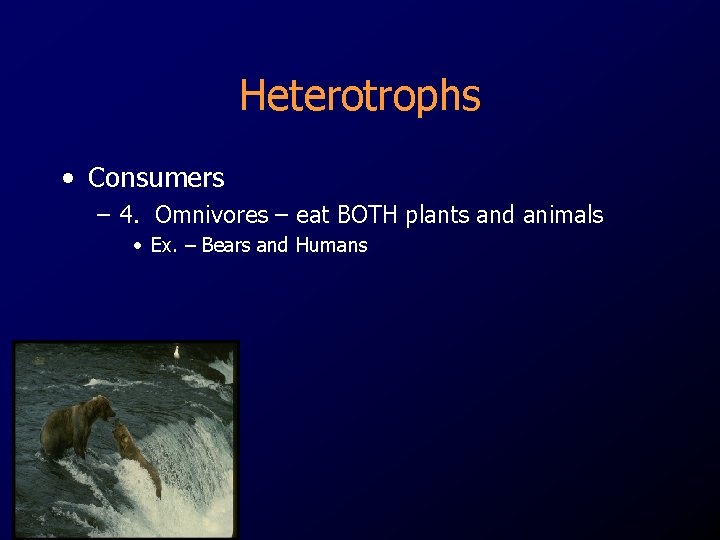 Heterotrophs • Consumers – 4. Omnivores – eat BOTH plants and animals • Ex.