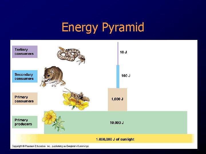 Energy Pyramid 