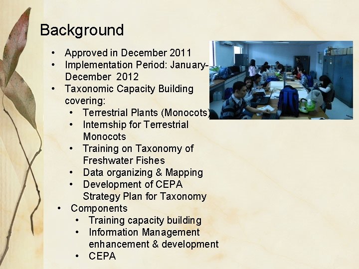 Background • Approved in December 2011 • Implementation Period: January. December 2012 • Taxonomic