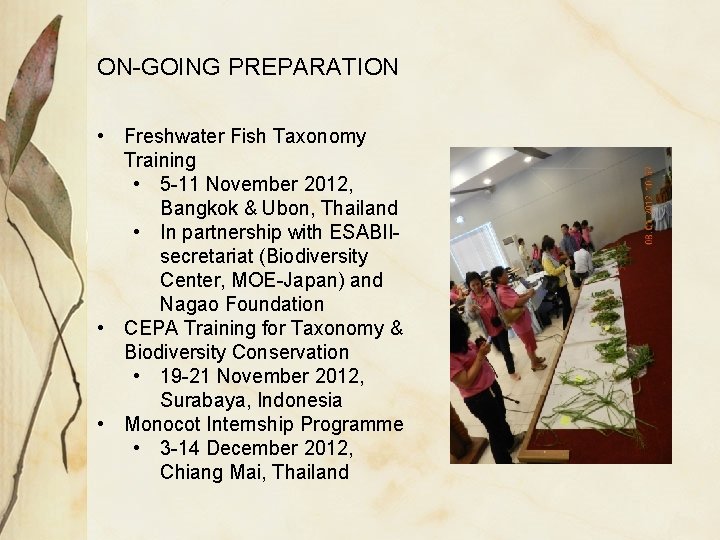 ON-GOING PREPARATION • Freshwater Fish Taxonomy Training • 5 -11 November 2012, Bangkok &