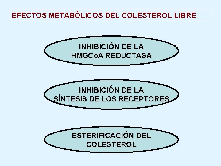 EFECTOS METABÓLICOS DEL COLESTEROL LIBRE INHIBICIÓN DE LA HMGCo. A REDUCTASA INHIBICIÓN DE LA