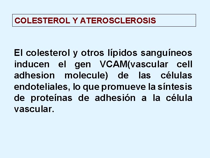 COLESTEROL Y ATEROSCLEROSIS El colesterol y otros lípidos sanguíneos inducen el gen VCAM(vascular cell