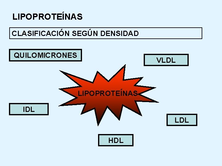 LIPOPROTEÍNAS CLASIFICACIÓN SEGÚN DENSIDAD QUILOMICRONES VLDL LIPOPROTEÍNAS IDL LDL HDL 