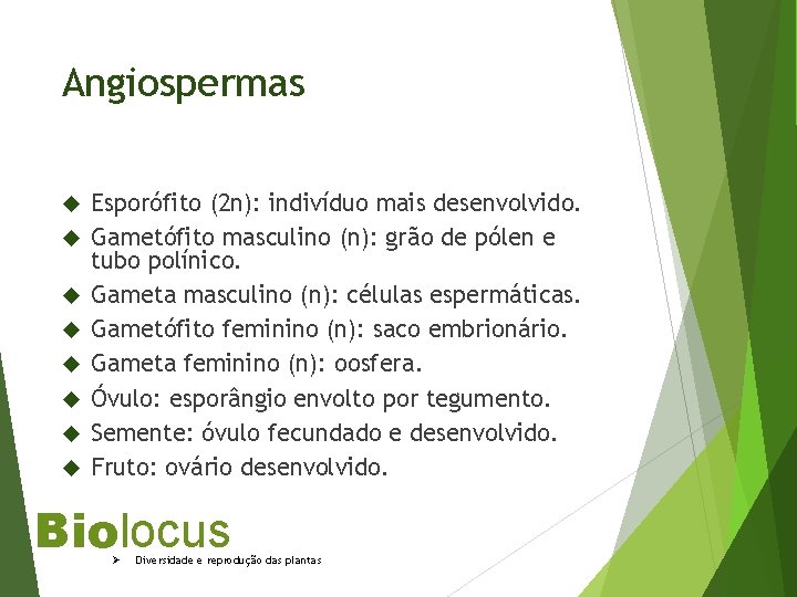 Angiospermas Esporófito (2 n): indivíduo mais desenvolvido. Gametófito masculino (n): grão de pólen e