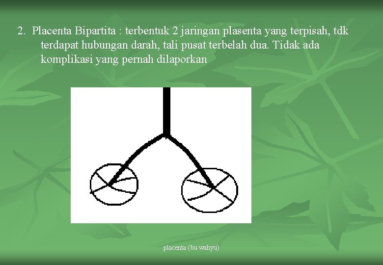 2. Placenta Bipartita : terbentuk 2 jaringan plasenta yang terpisah, tdk terdapat hubungan darah,