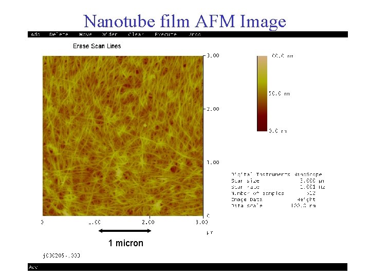 Nanotube film AFM Image 1 micron 