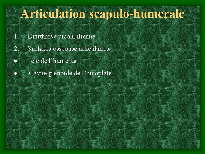 Articulation scapulo-humerale 1. Diarthrose bicondilienne 2. Surfaces osseouse articulaires: · tete de l’humerus ·