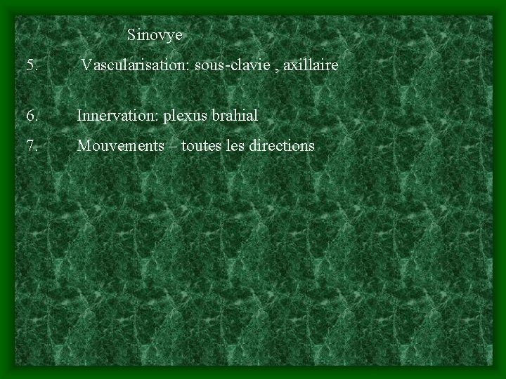 Sinovye 5. Vascularisation: sous-clavie , axillaire 6. Innervation: plexus brahial 7. Mouvements – toutes