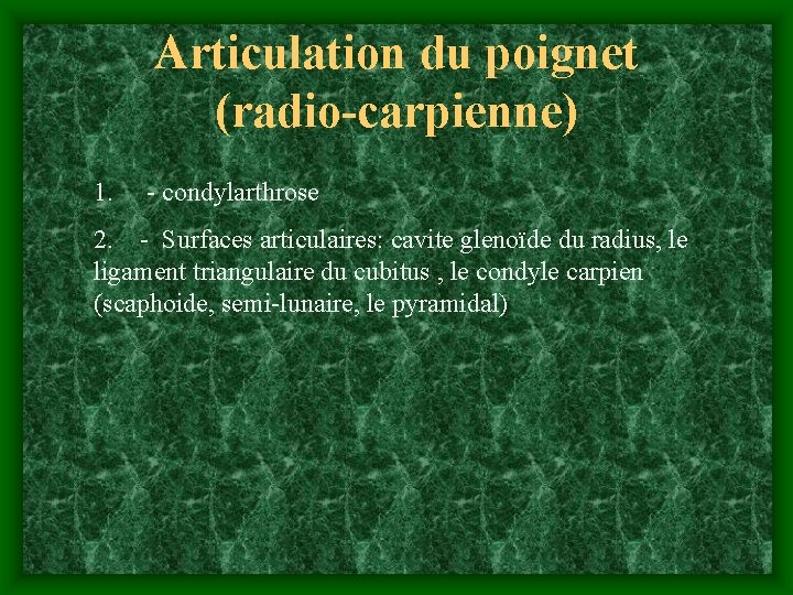 Articulation du poignet (radio-carpienne) 1. - condylarthrose 2. - Surfaces articulaires: cavite glenoïde du