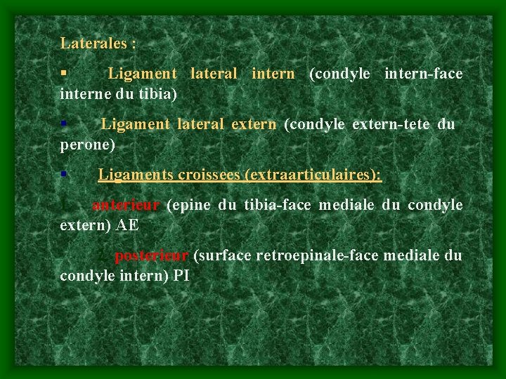 Laterales : § Ligament lateral intern (condyle intern-face interne du tibia) § Ligament lateral