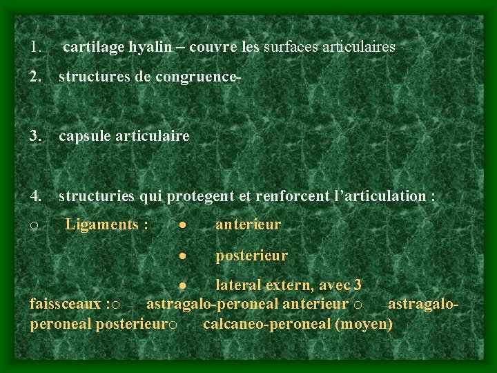1. cartilage hyalin – couvre les surfaces articulaires 2. structures de congruence 3. capsule