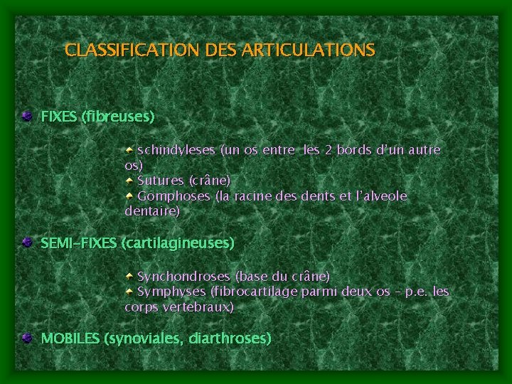 CLASSIFICATION DES ARTICULATIONS FIXES (fibreuses) schindyleses (un os entre les 2 bords d’un autre